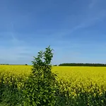 Hof Sorgenlos * Gross Gievitz