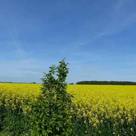 Hof Sorgenlos * Gross Gievitz
