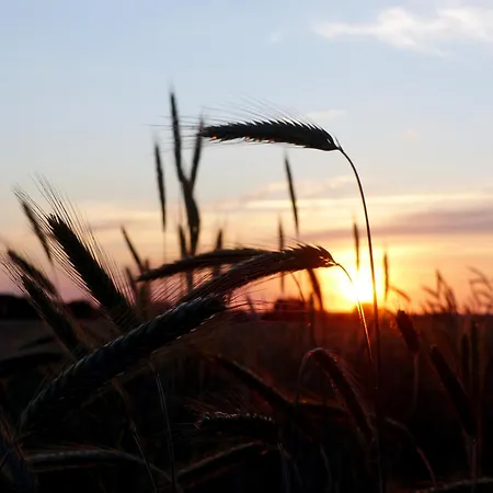 Hof Sorgenlos Gross Gievitz
