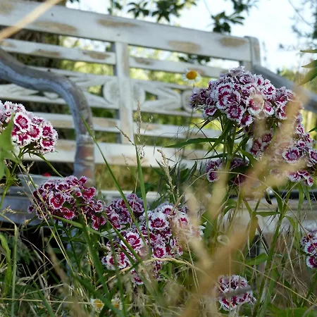 Hof Sorgenlos Gross Gievitz