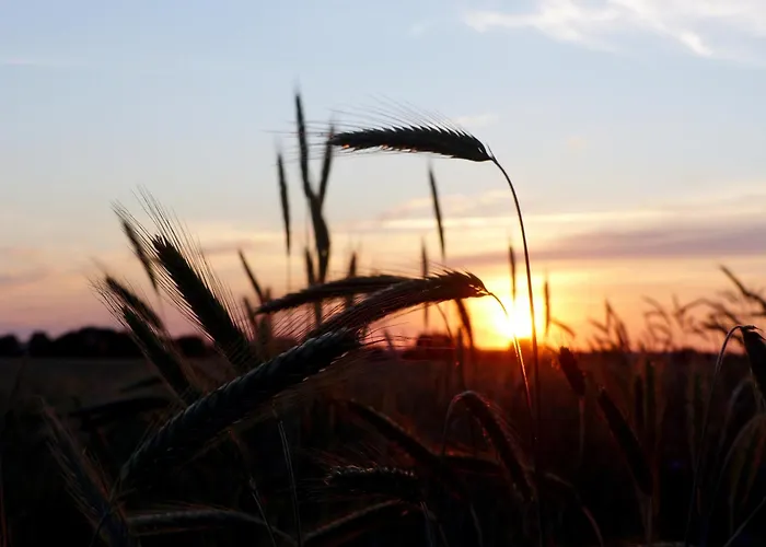 Hof Sorgenlos Gross Gievitz