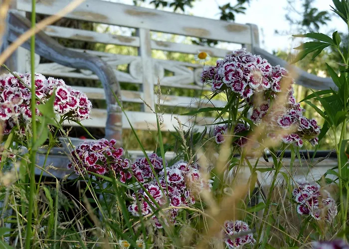 Hof Sorgenlos Gross Gievitz